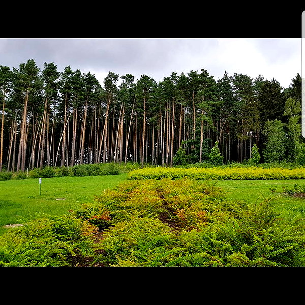 tamar_nk instagram image archive image