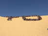tamar_nk Altpins Profile Picture