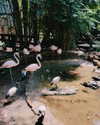 tamar_nk Altpins Profile Picture