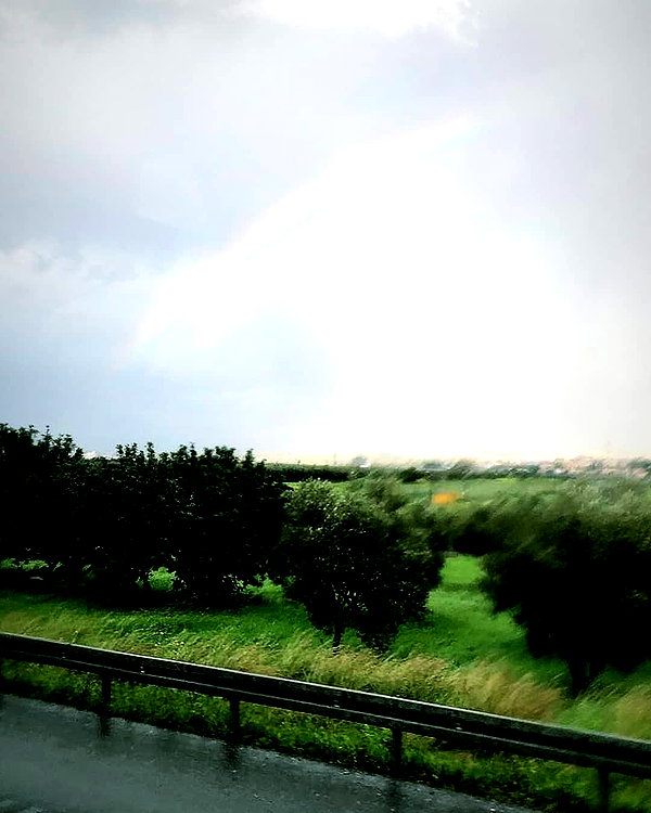 tamar_nk instagram image archive image