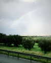 tamar_nk Altpins Profile Picture
