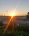 tamar_nk Altpins Profile Picture