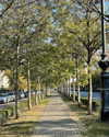 tamar_nk Altpins Profile Picture
