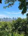 tamar_nk Altpins Profile Picture