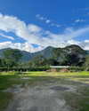 tamar_nk Altpins Profile Picture