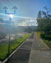 tamar_nk Altpins Profile Picture