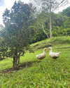 tamar_nk Altpins Profile Picture