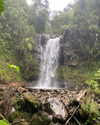 tamar_nk Altpins Profile Picture