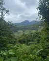 tamar_nk Altpins Profile Picture