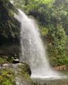 tamar_nk Altpins Profile Picture