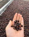 tamar_nk Altpins Profile Picture