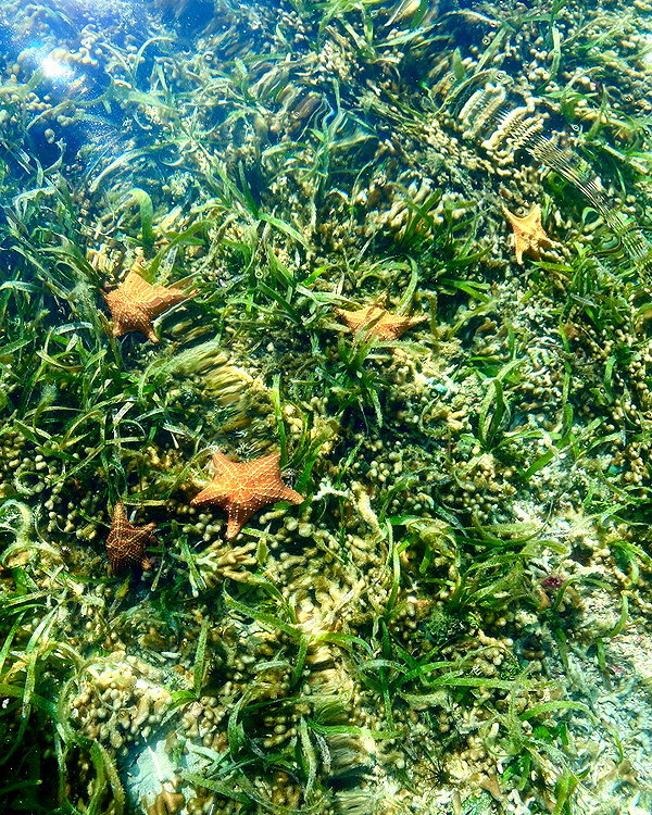 tamar_nk instagram image archive image