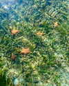 tamar_nk Altpins Profile Picture