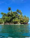 tamar_nk Altpins Profile Picture