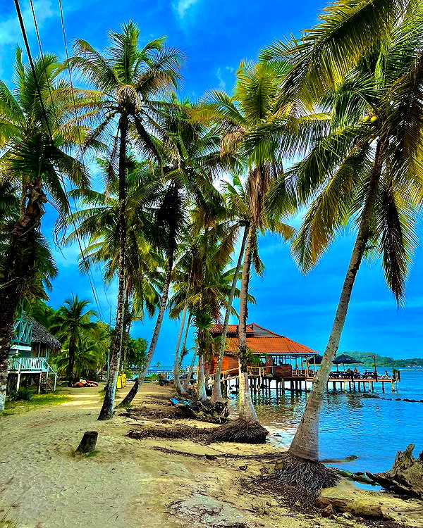 tamar_nk instagram image archive image