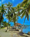 tamar_nk Altpins Profile Picture
