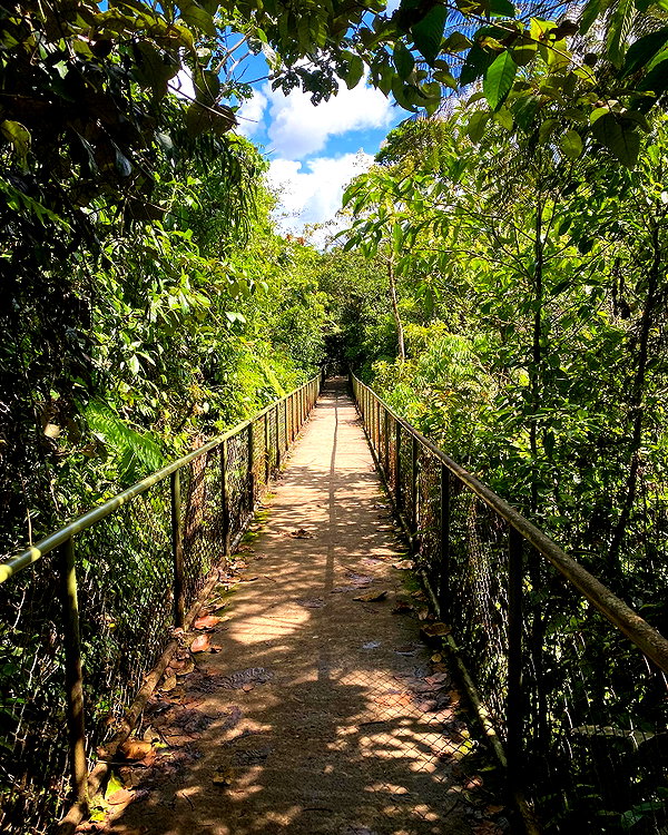 tamar_nk instagram image archive image