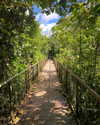 tamar_nk Altpins Profile Picture