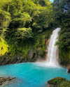 tamar_nk Altpins Profile Picture