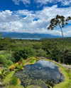 tamar_nk Altpins Profile Picture