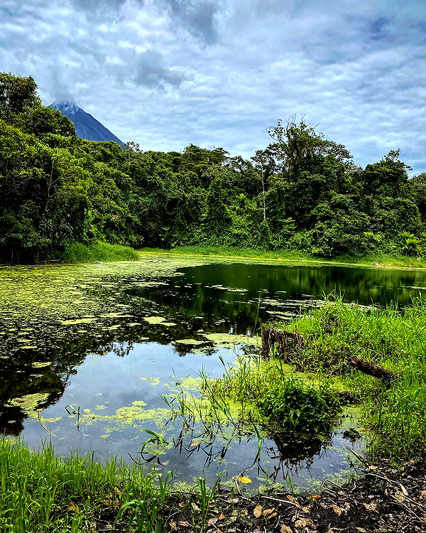 tamar_nk instagram image archive image