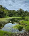 tamar_nk Altpins Profile Picture