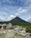 tamar_nk Altpins Profile Picture