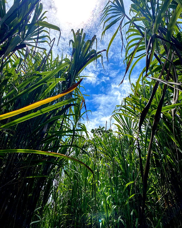 tamar_nk instagram image archive image