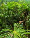tamar_nk Altpins Profile Picture