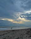 tamar_nk Altpins Profile Picture