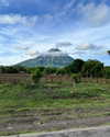 tamar_nk Altpins Profile Picture