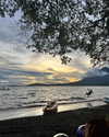 tamar_nk Altpins Profile Picture