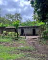 tamar_nk Altpins Profile Picture
