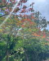 tamar_nk Altpins Profile Picture