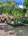 tamar_nk Altpins Profile Picture