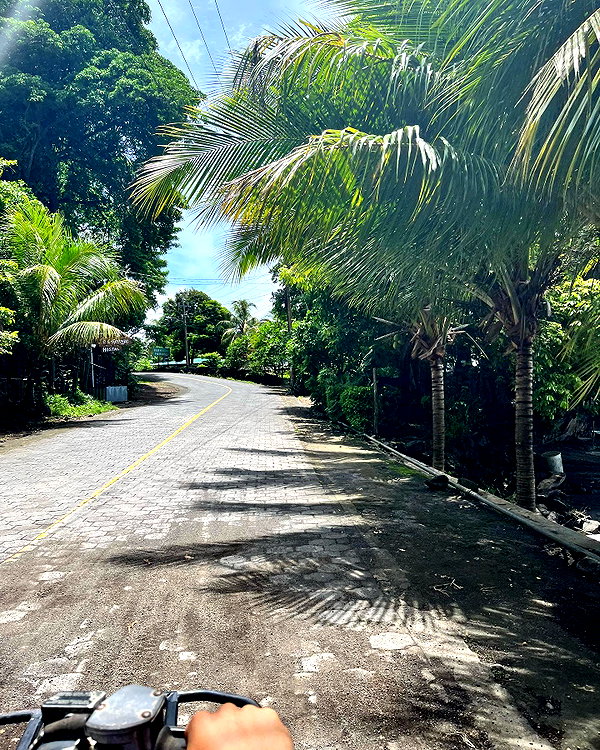 tamar_nk instagram image archive image