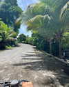 tamar_nk Altpins Profile Picture