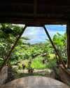 tamar_nk Altpins Profile Picture