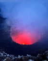 tamar_nk Altpins Profile Picture
