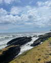 tamar_nk Altpins Profile Picture