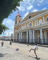 tamar_nk Altpins Profile Picture