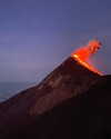 tamar_nk Altpins Profile Picture
