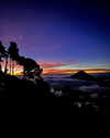 tamar_nk Altpins Profile Picture