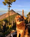 tamar_nk Altpins Profile Picture