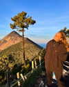 tamar_nk Altpins Profile Picture