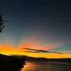 tamar_nk Altpins Profile Picture
