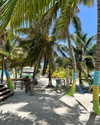 tamar_nk Altpins Profile Picture