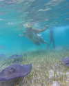 tamar_nk Altpins Profile Picture