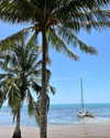 tamar_nk Altpins Profile Picture