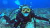 tamar_nk Altpins Profile Picture